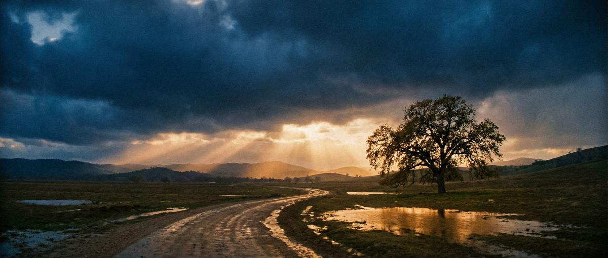 四虎视频影视视频平台
